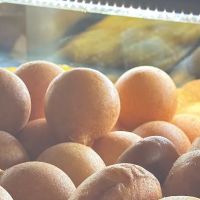 Los Hornitos Bakery ico