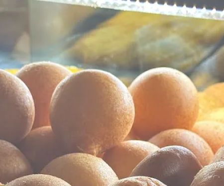 Los Hornitos Bakery