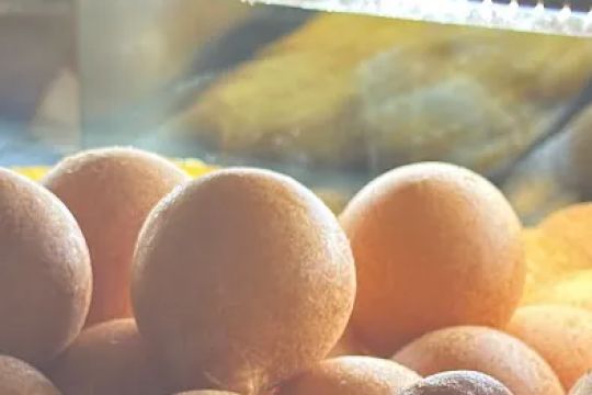 Los Hornitos Bakery