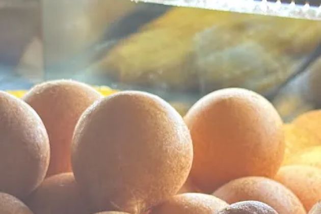 Los Hornitos Bakery