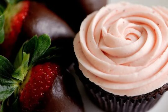 Sublime Cupcakes