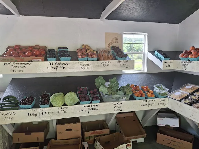 Frosted Whisk Bakery Picture 5