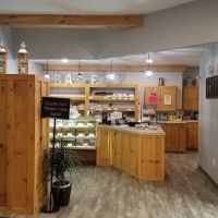Shorts Tastee Pastries ico