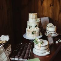 The Sandpiper Cake Shop ico