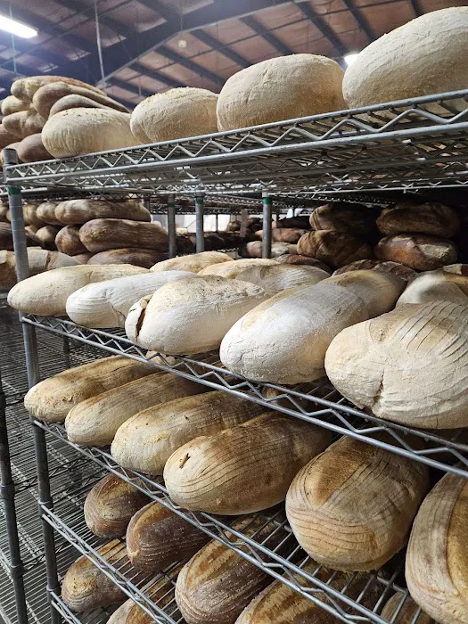 When Pigs Fly Breads (WE DO NOT SELL BREAD HERE) Picture 5