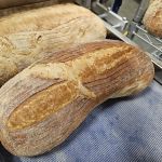When Pigs Fly Breads (WE DO NOT SELL BREAD HERE)