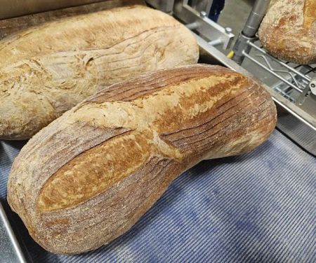 When Pigs Fly Breads (WE DO NOT SELL BREAD HERE)