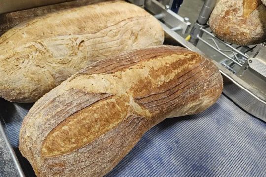 When Pigs Fly Breads (WE DO NOT SELL BREAD HERE)