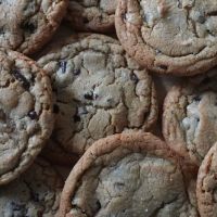 Daily Bread Co. ico
