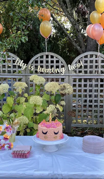 The PartyCake Picture 2