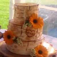 Barry Yummy Baked Goods ico