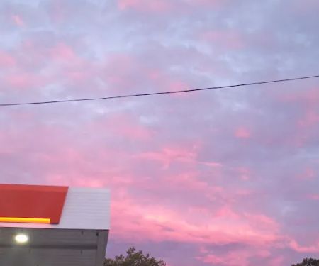 Honey Dew Donuts
