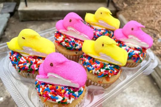 The Farmhouse Bakery Co