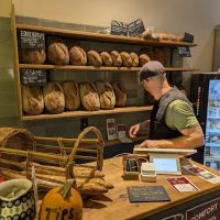 Woodpepper ico