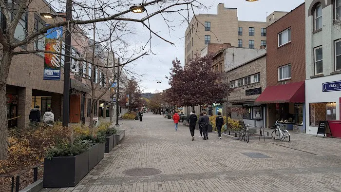 Collegetown Bagels Picture 9