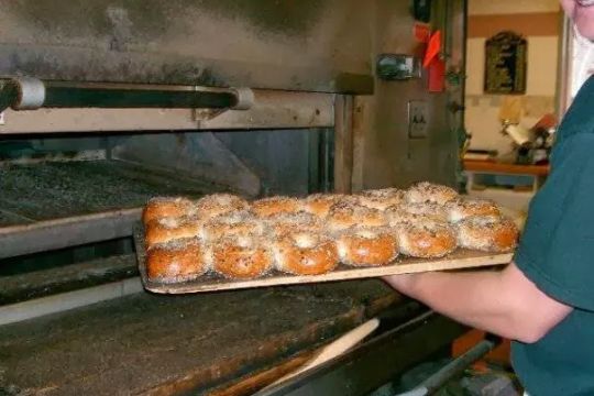 Dunellen Bagel