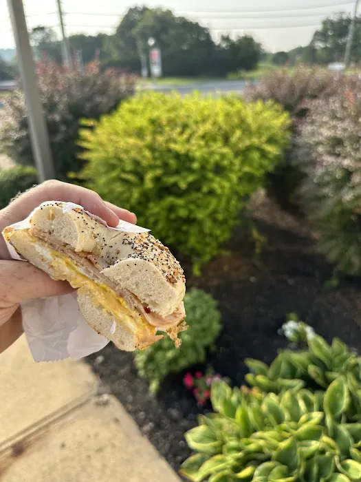 Hot Bagels Picture 4