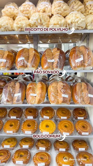 Bread of Life - Pão da Vida Picture 8
