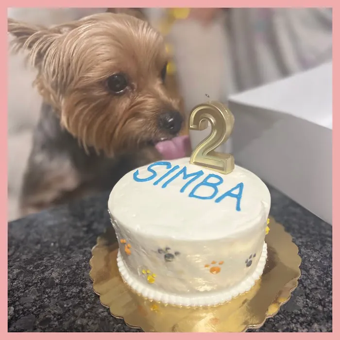 Brody's Barkery Picture 10