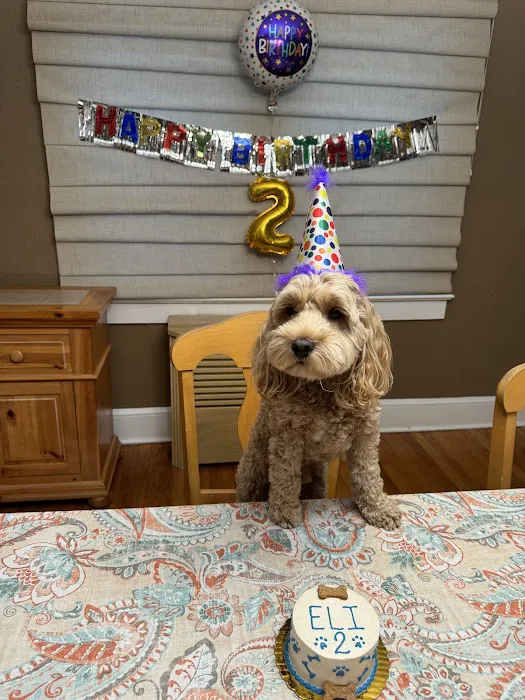 Brody's Barkery Picture 5