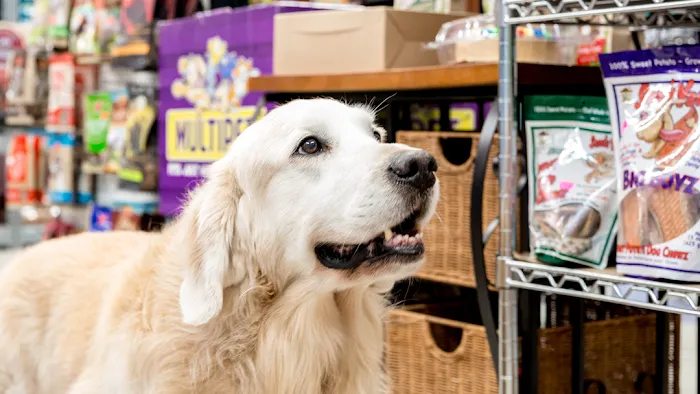 Storybook Wags N' Whiskers Picture 10