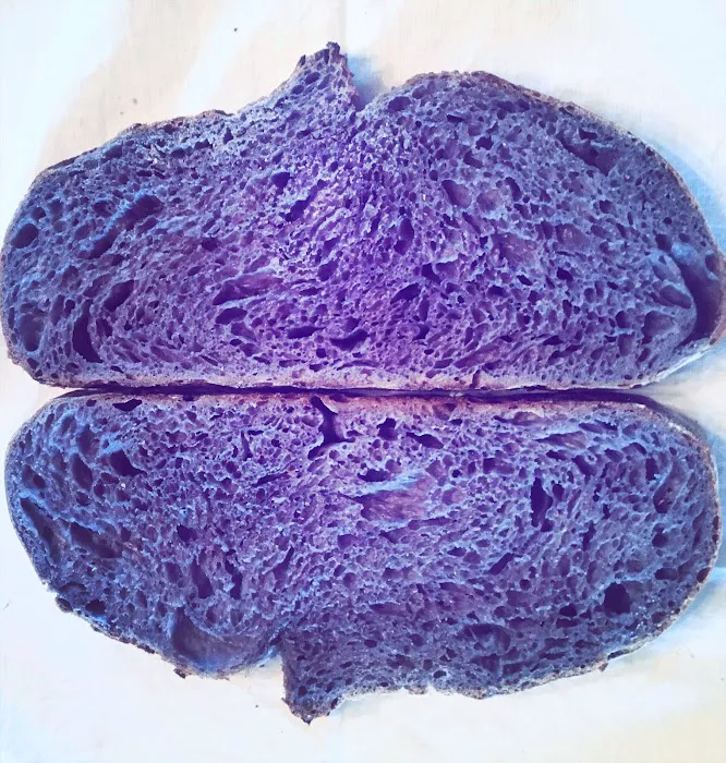 breadfermented Picture 9