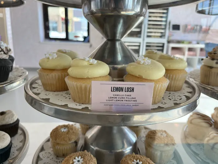 Lancaster Cupcake Picture 6