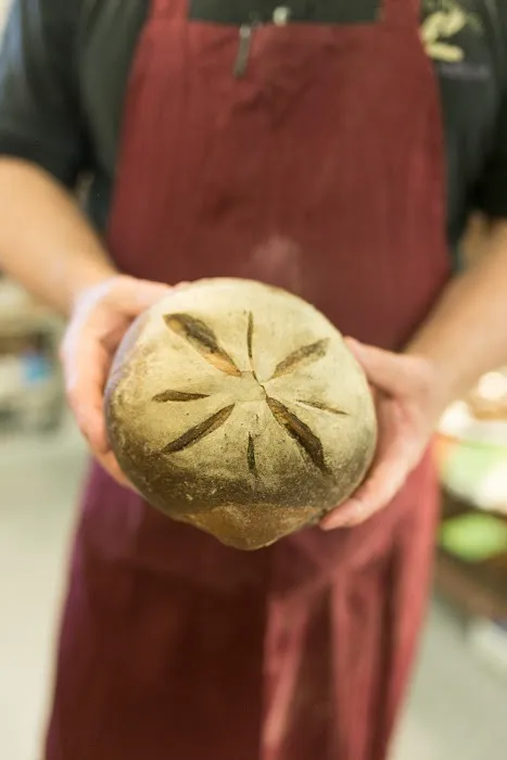Sandi's Breads Picture 4
