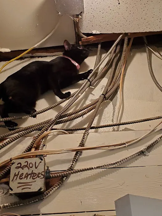 Un Nuevo Renacer Bakery Picture 9