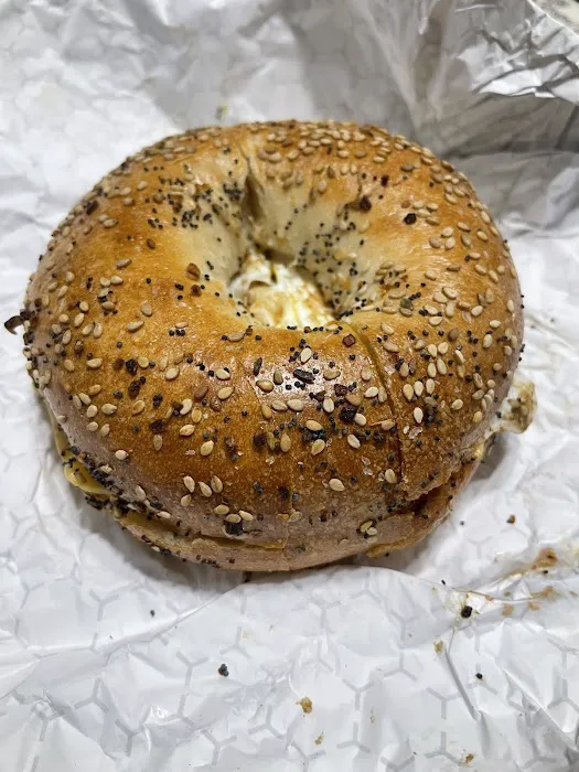 City Bagel Cafe Picture 3