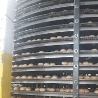 America's Bakery ico