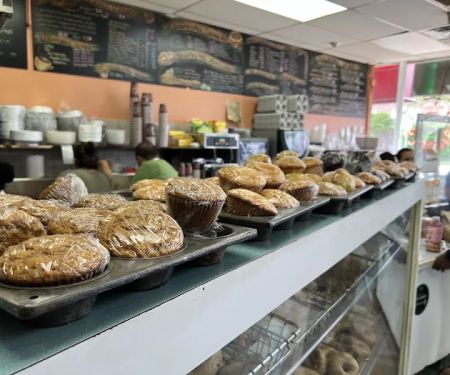 Bagel Spot