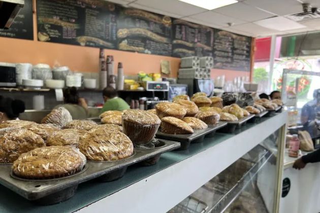 Bagel Spot