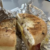 DeWitt Bagel Company ico