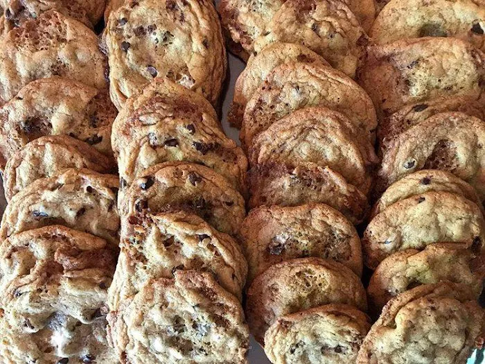 Fatcat Baking Picture 1