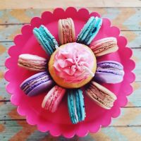 MARVELOUS MACARON ico