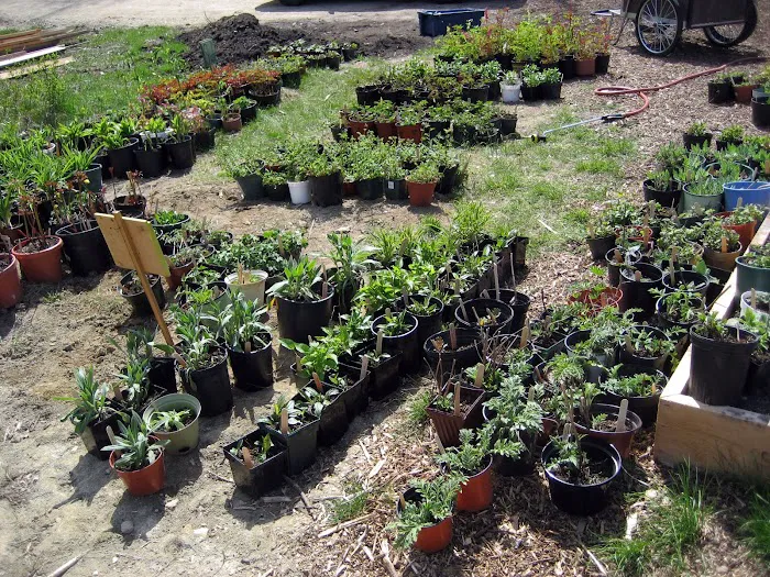 Bessie's Farm Goods Picture 10