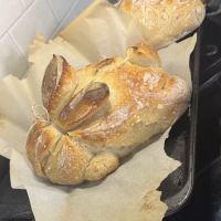Backyard Microbakery ico