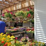 Weaver's Market & Bakery