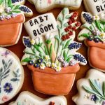 Cookies del Mundo
