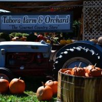 Tabora Farm & Orchard ico