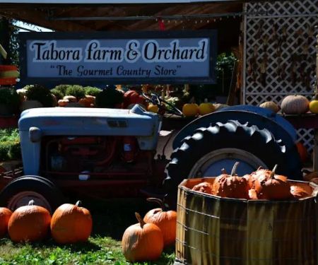 Tabora Farm & Orchard