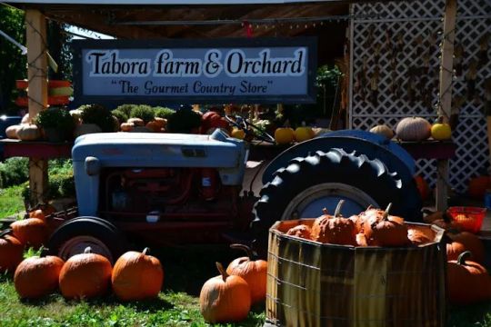 Tabora Farm & Orchard