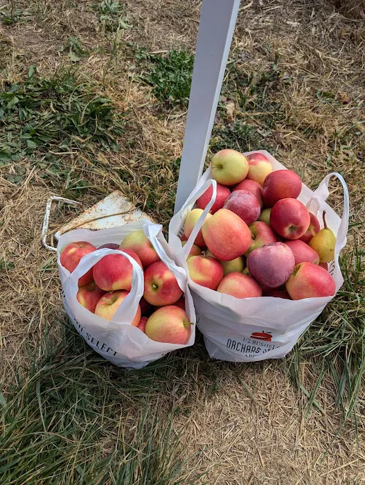 Tabora Farm & Orchard Picture 7