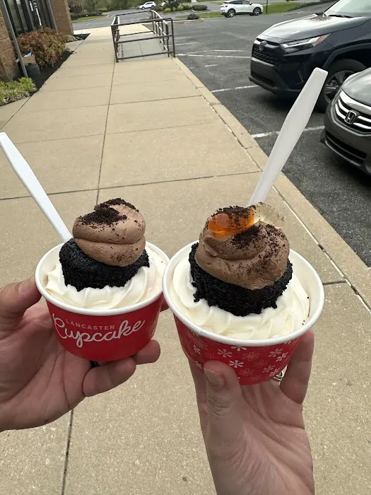 Lancaster Cupcake Picture 3