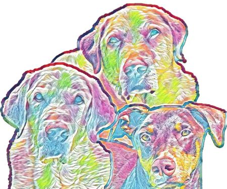 3 Pups Bakery (PA)