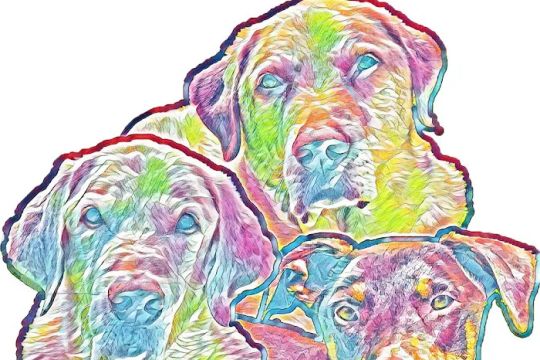 3 Pups Bakery (PA)