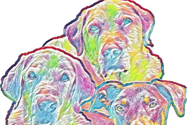 3 Pups Bakery (PA)