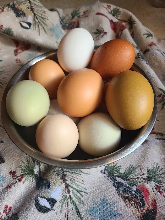 Little Red Hen Farmstead Picture 4