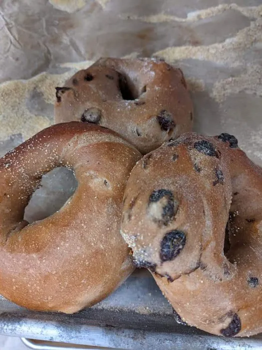 Plattsburgh Sourdough Co Picture 6